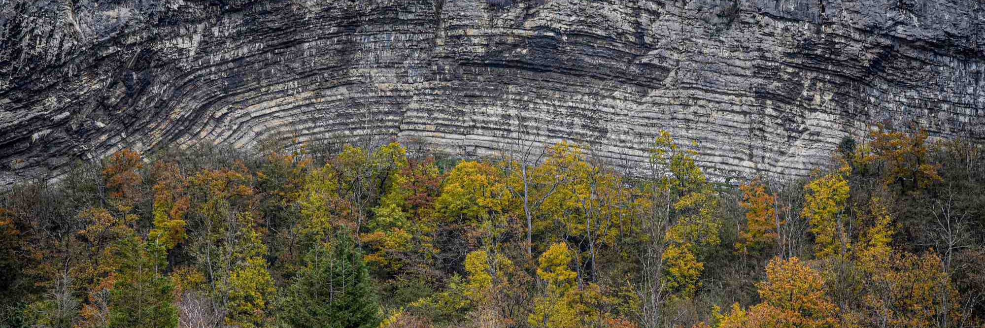 Entre rochers et forêt en Haute Meuse