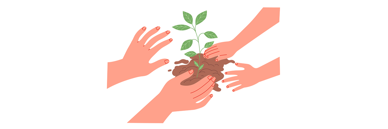 Bouturer des plantes avec ses enfants 