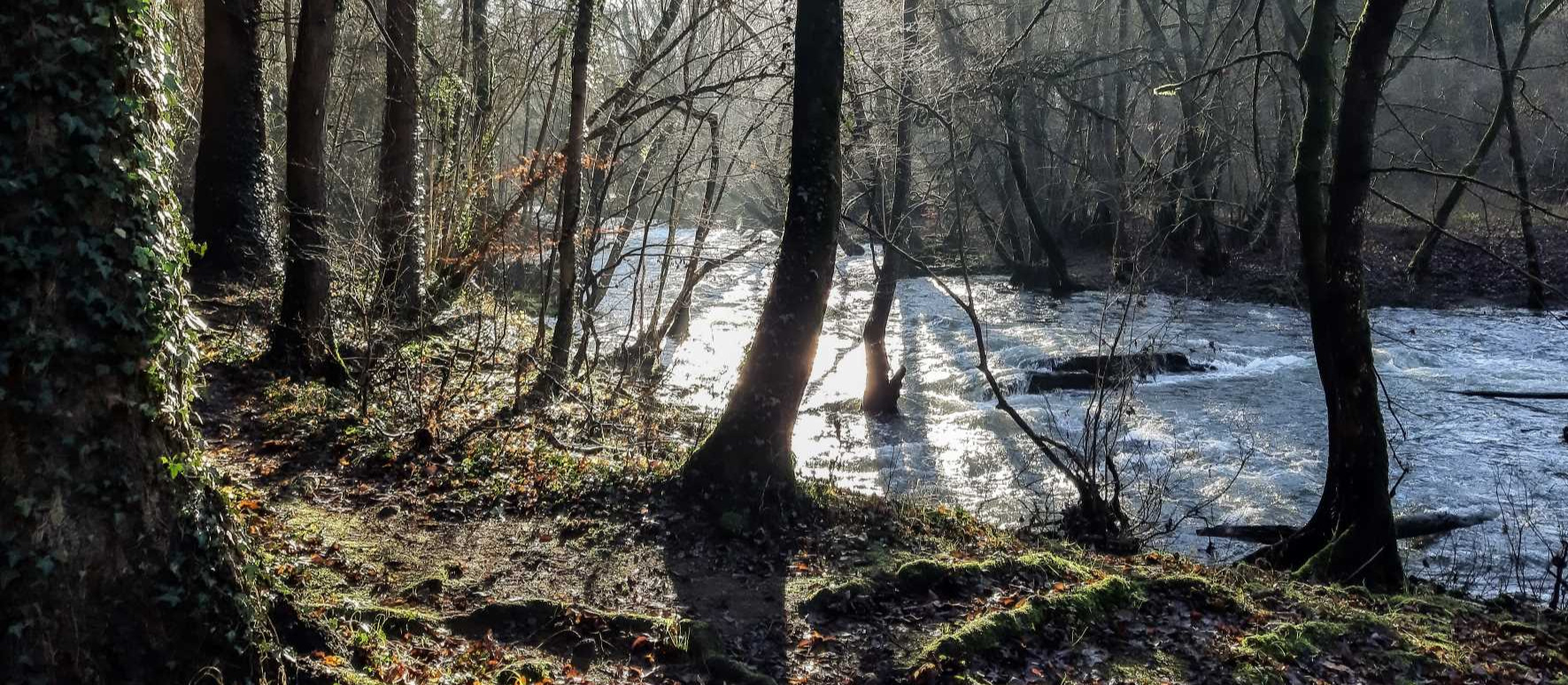 La Lesse à Belvaux