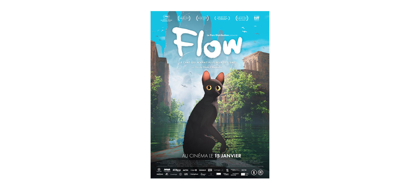 Flow, le chat qui n'avait plus peur de l'eau | Le Ligueur