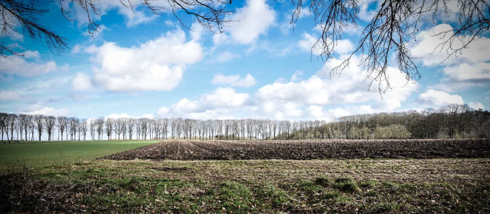 Balade près de Genappe dans le Bois de Thy