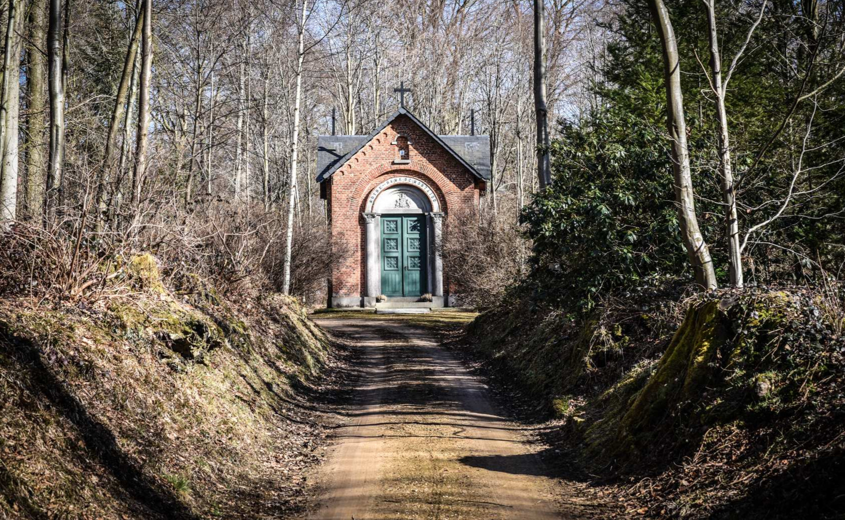 Bois de Thy (Genappe)
