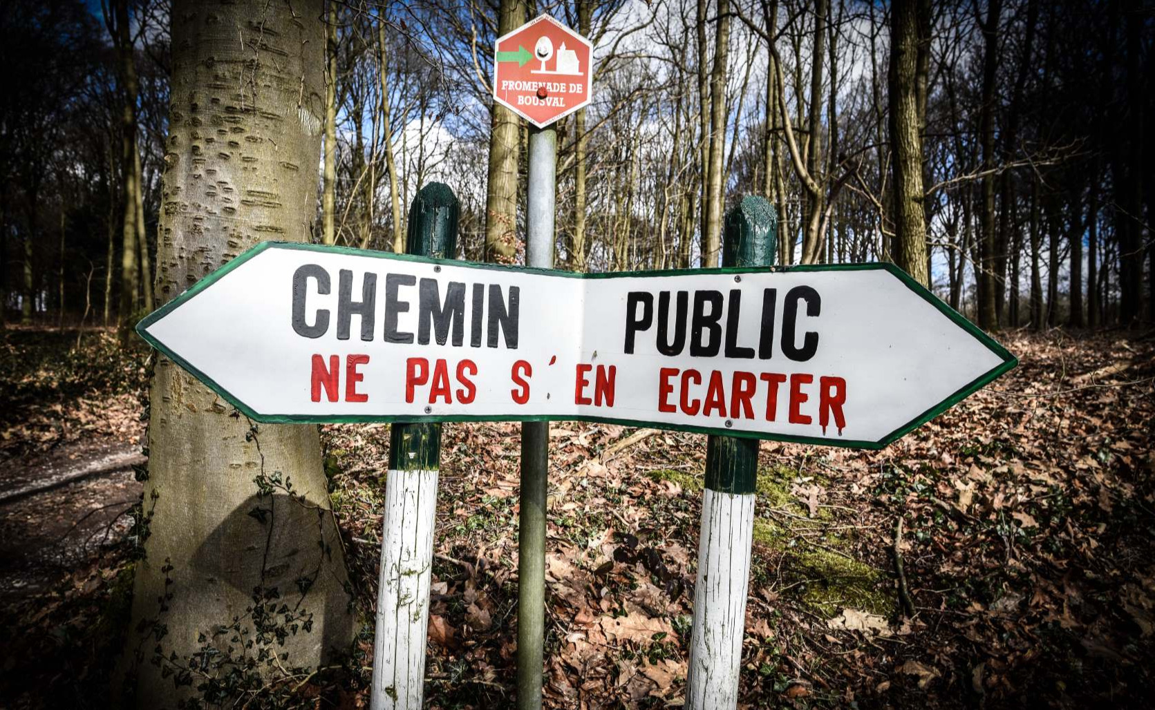 Bois de Thy (Genappe)