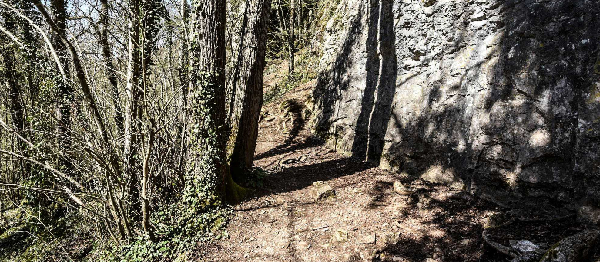 Promenade à Dourbes