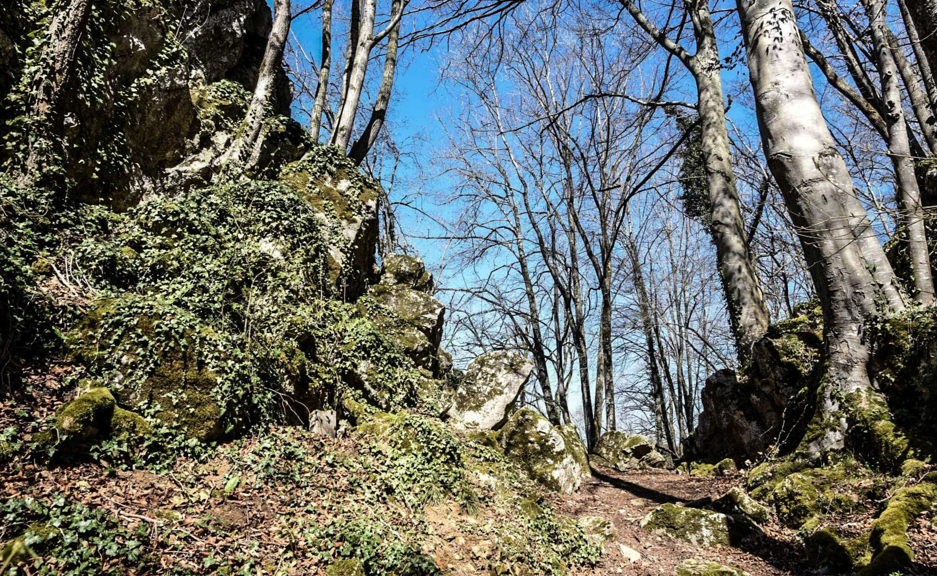 Entre rochers et forêts à Dourbes