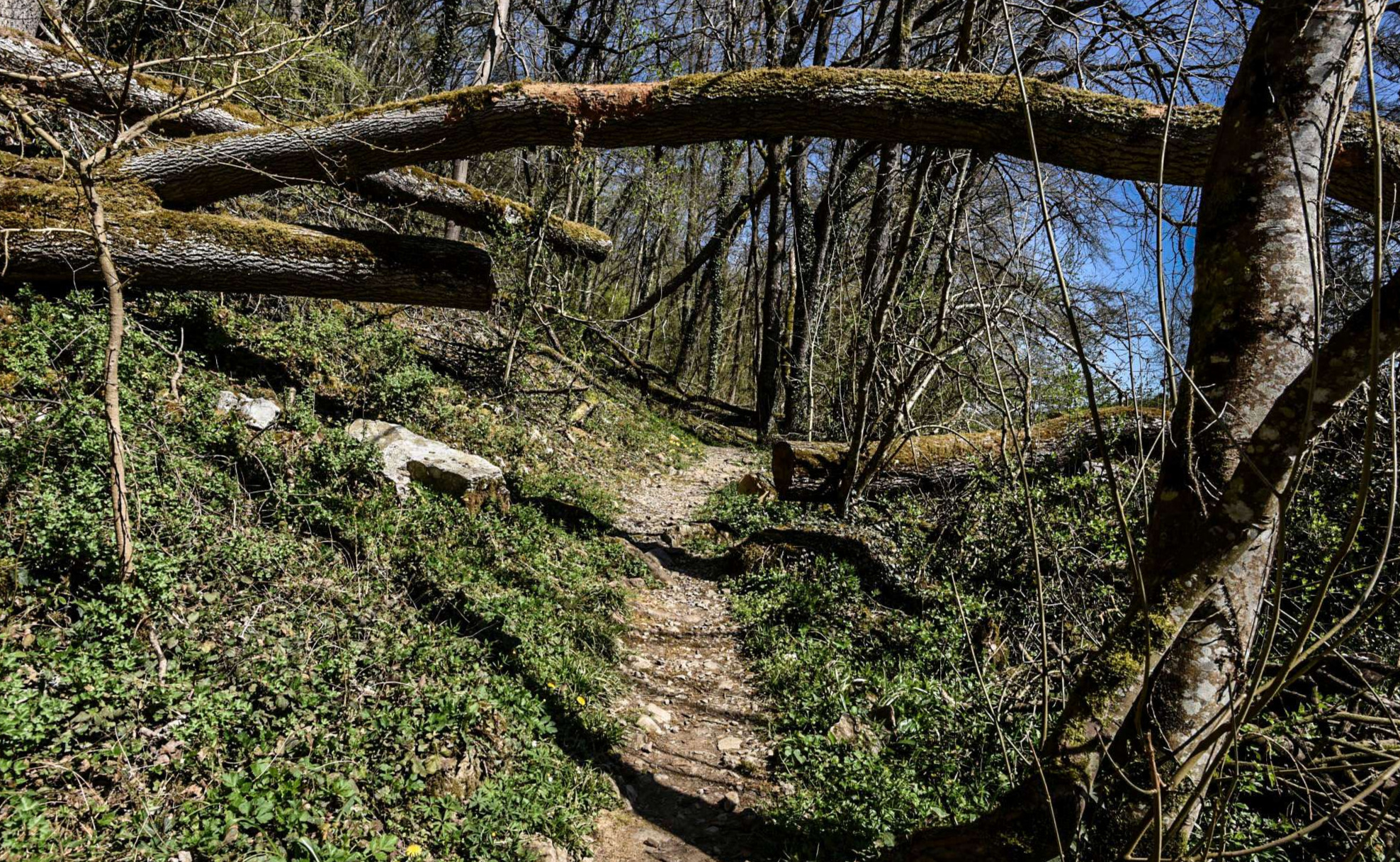 Chemin en bordure du Viroin à Dourbes
