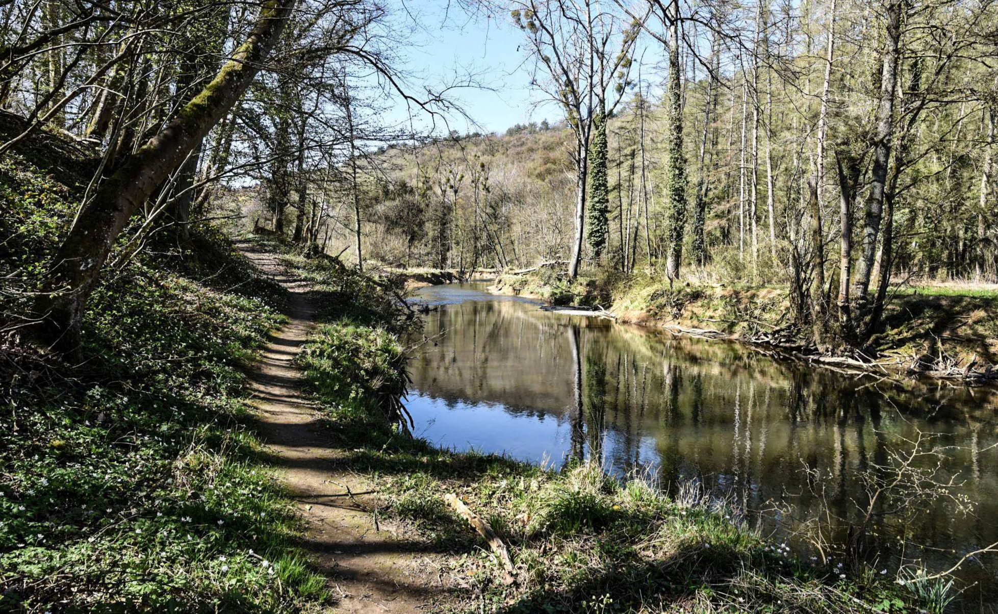 Le Viroin à Dourbes