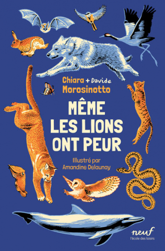 Cover livre jeunesse Même les lions ont peur