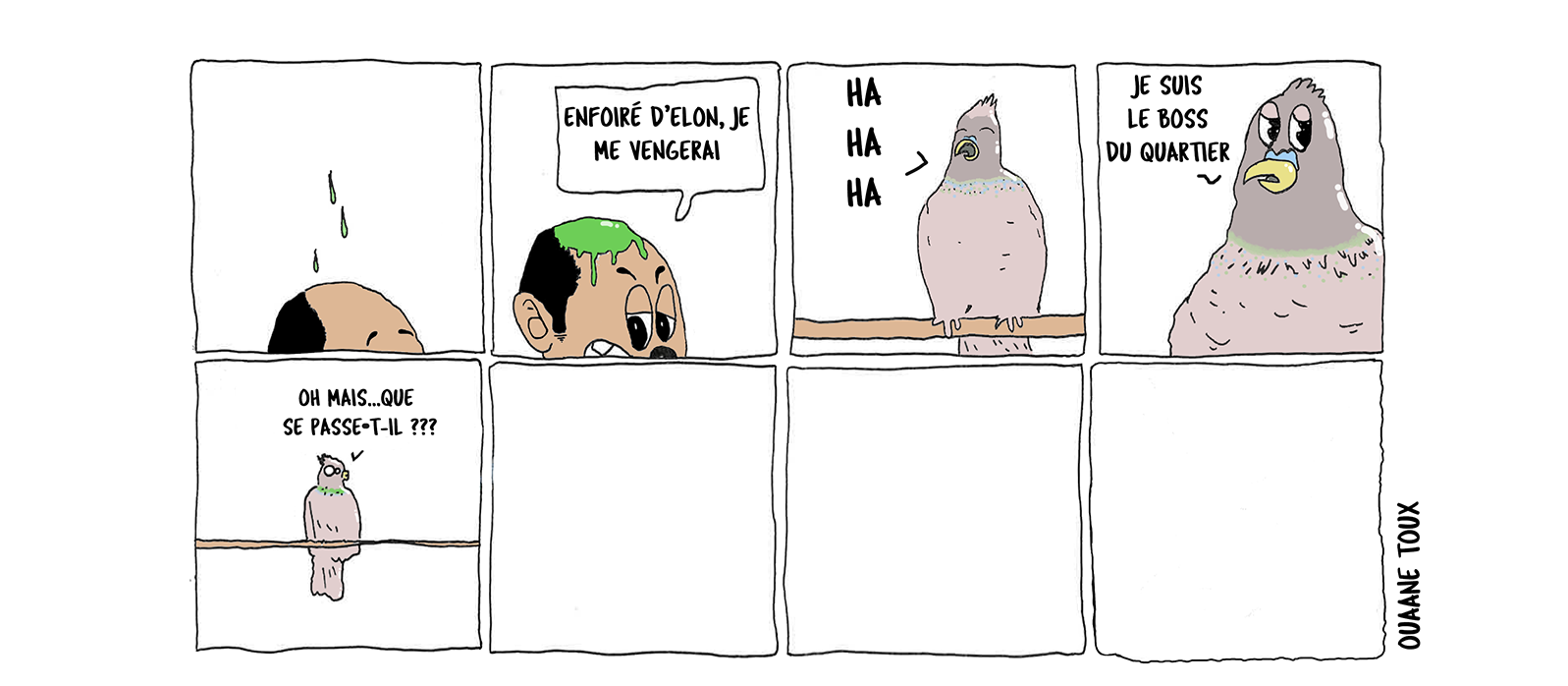Elon le pigeon est vraiment un méchant pigeon. Sa passion&nbsp;? Souiller le sommet des crânes de nos congénères
