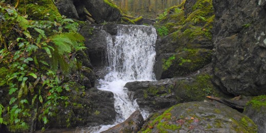 Ruisseau en Wallonie