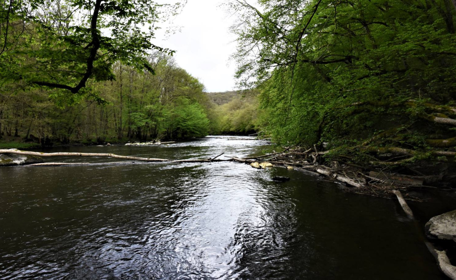 Promenade à Nadrin, la rivière