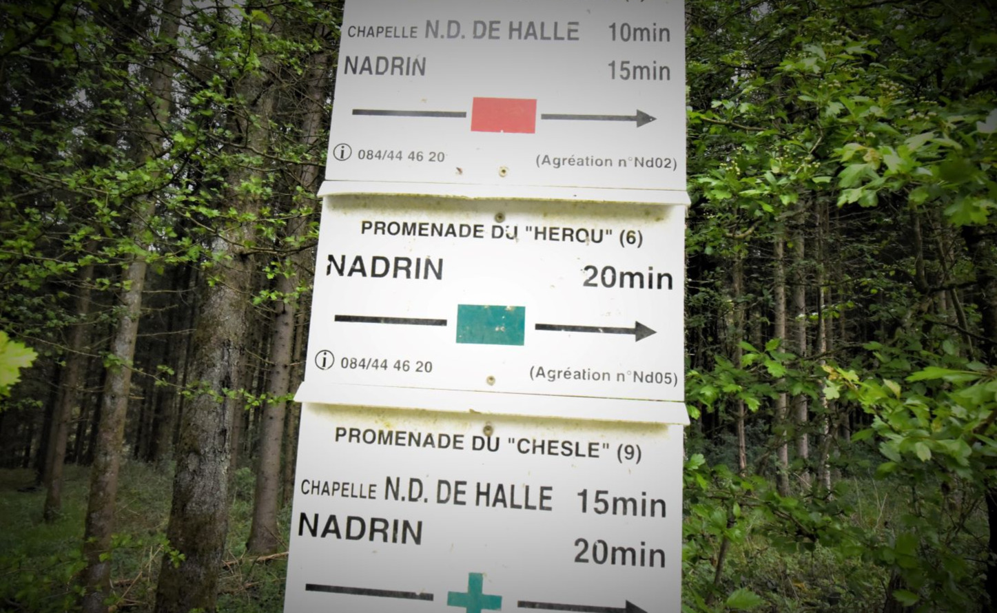 Balisage pour la promenade 