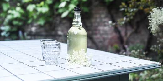 Sirop de fleurs de sureau