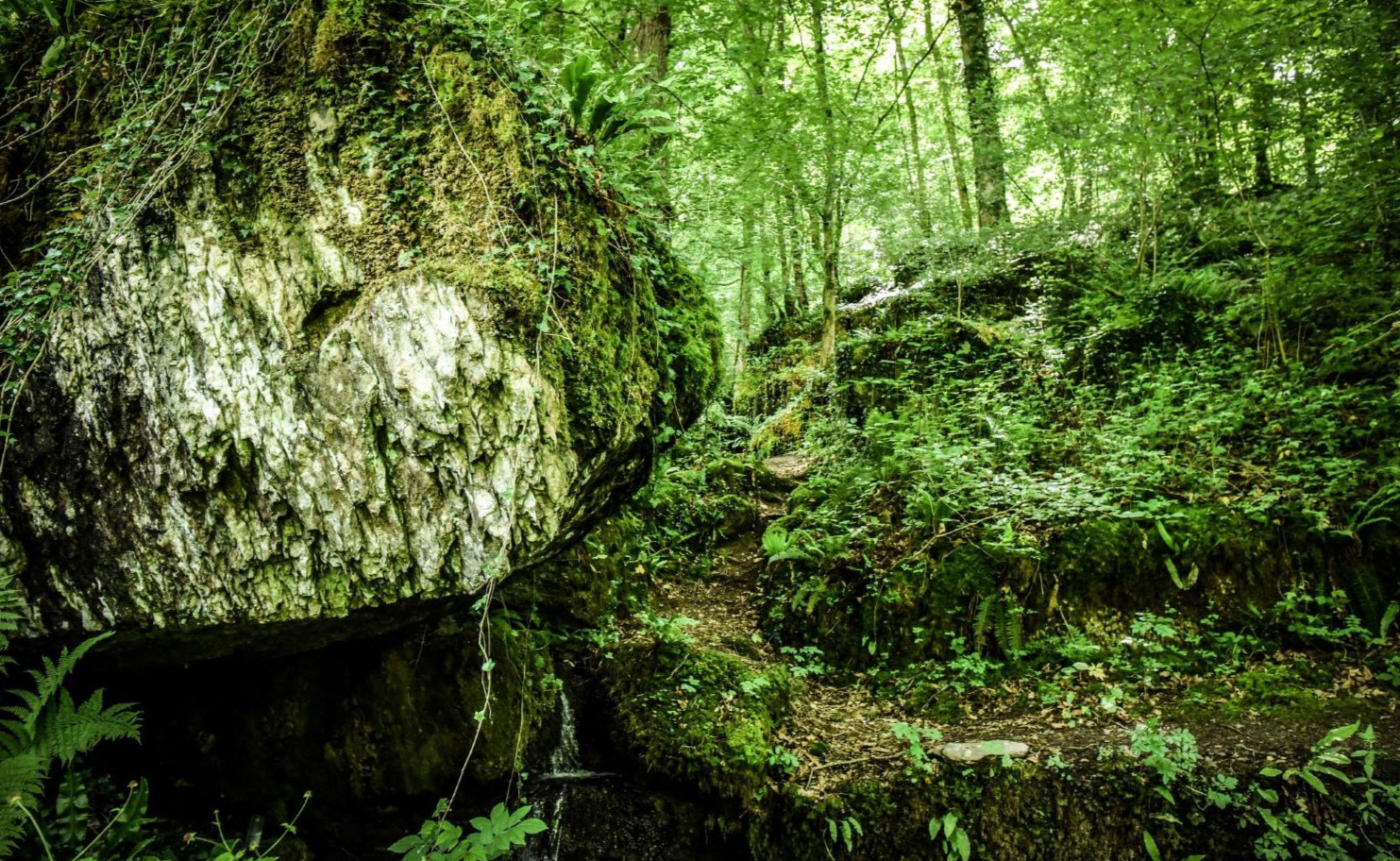 Au bord de l'Ywoigne