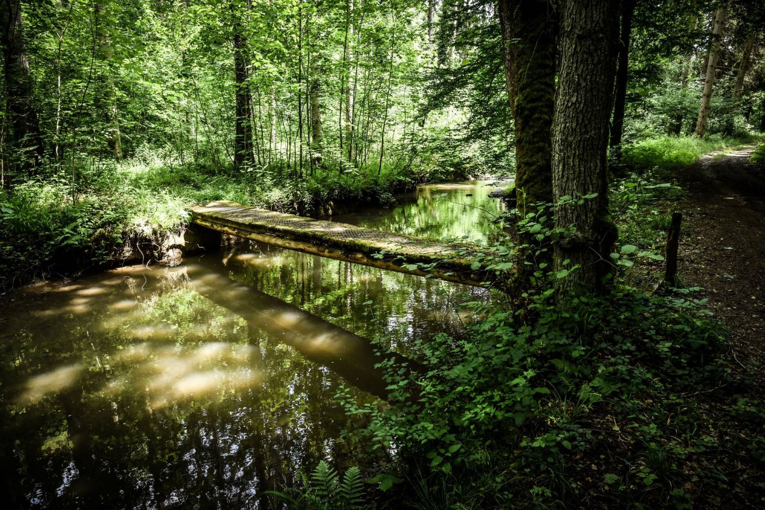 Pont sur l'Ywoigne