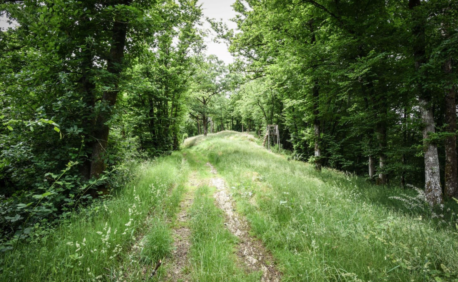Sentier à Houyet
