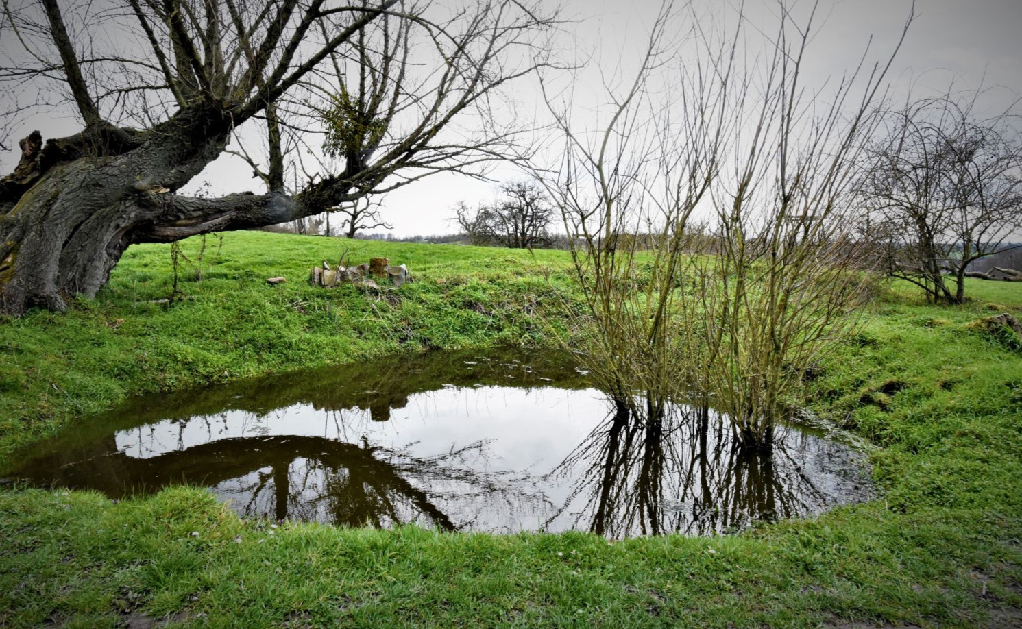 Promenade à Val-Dieu
