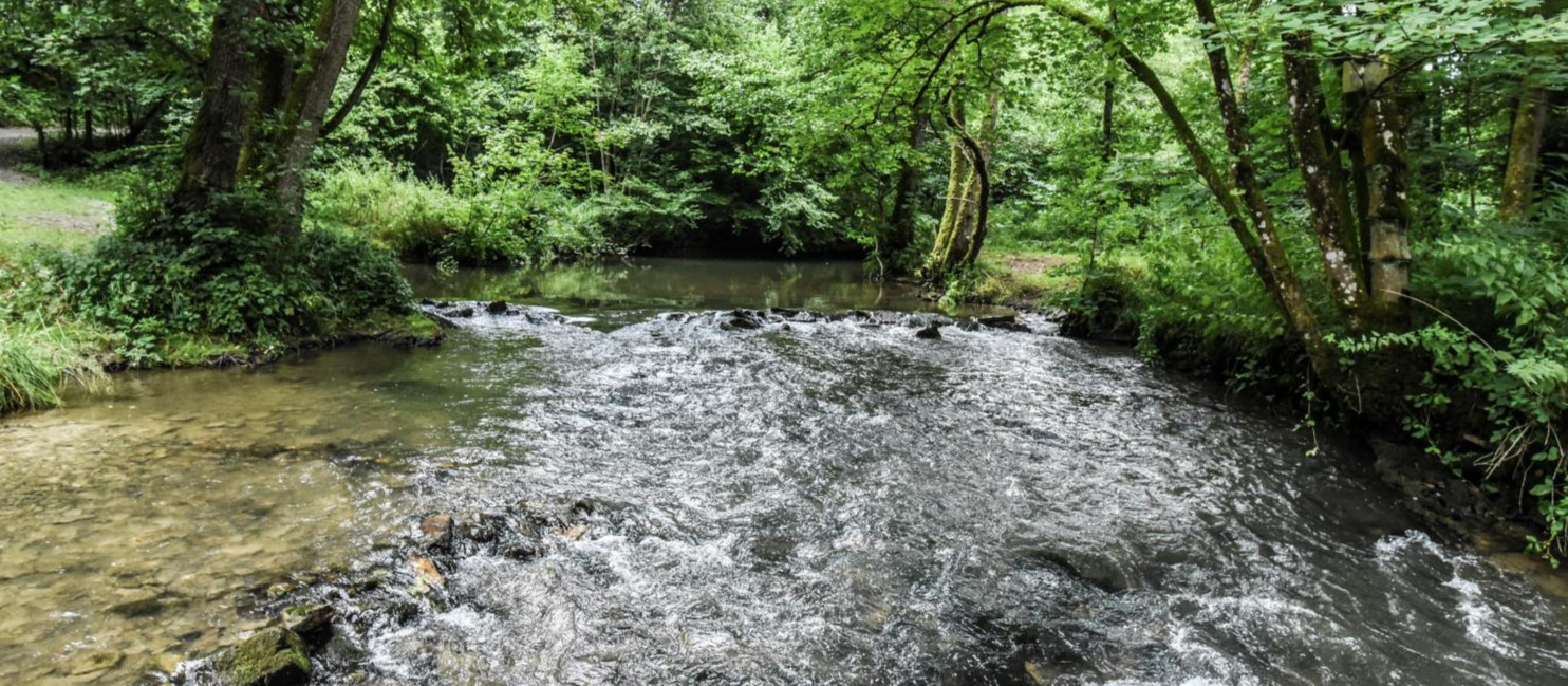 Purnode, vallée du Bocq