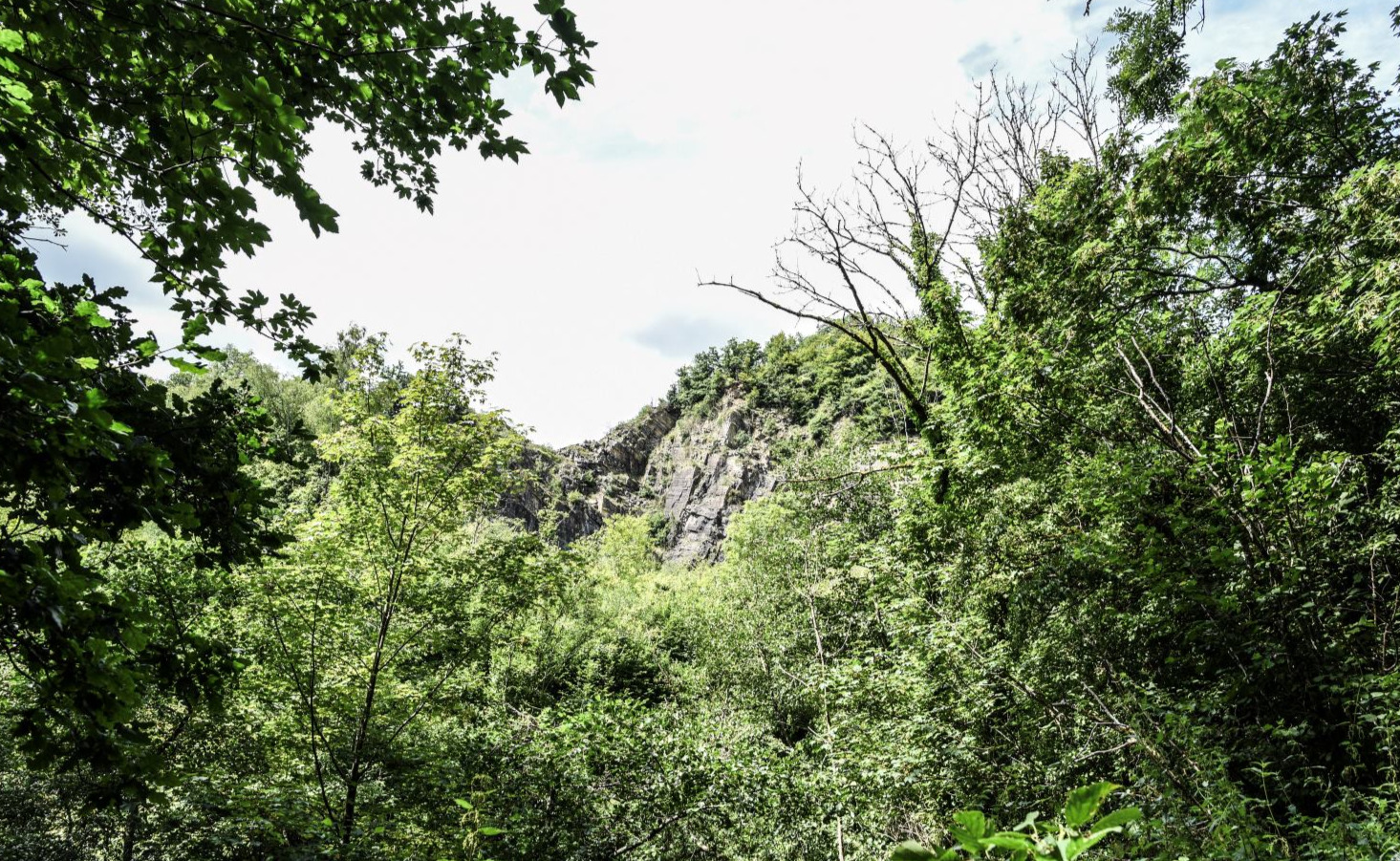 Vallée du Bocq à Purnode