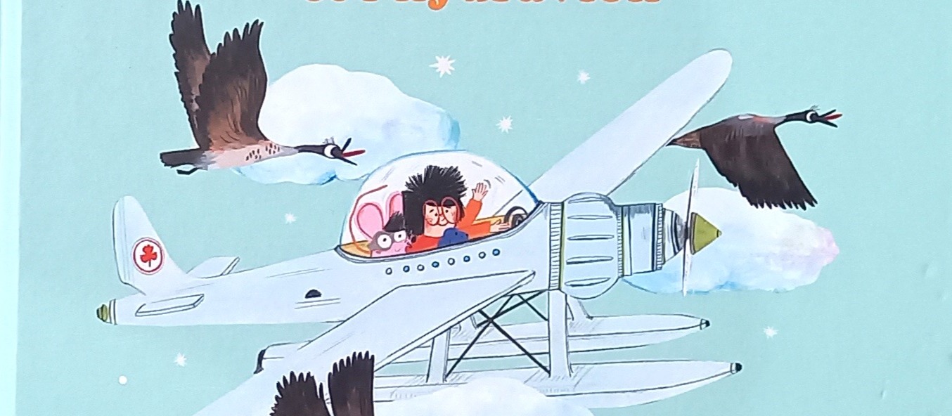 Coco et l’hydravion, de Romain Jallon et Lucile Placin (L’Étagère du bas)