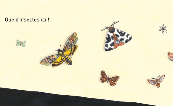 Noir jardin, de Clémence Sabbagh et Sophie Weidler-Bauchez 