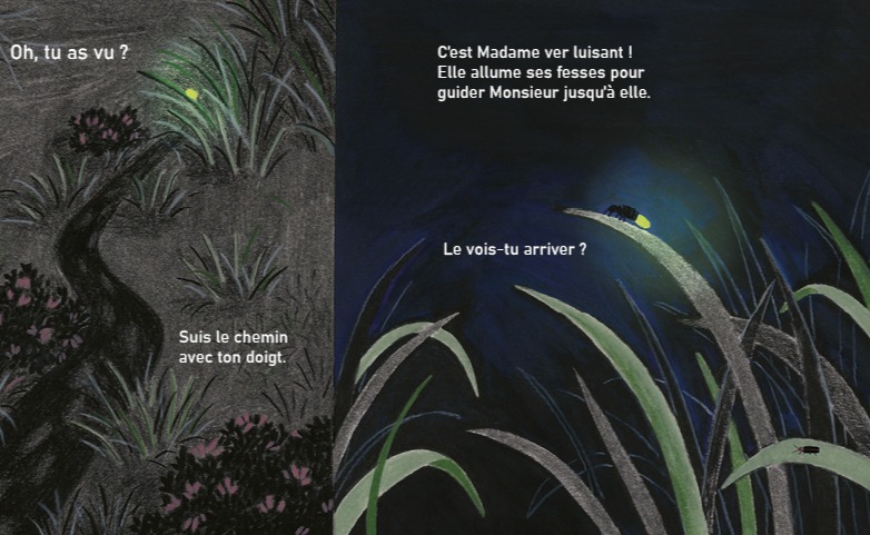 Noir jardin, de Clémence Sabbagh et Sophie Weidler-Bauchez 