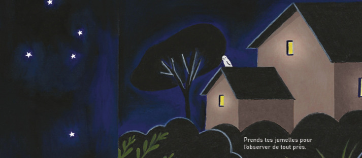 Noir jardin, de Clémence Sabbagh et Sophie Weidler-Bauchez (Le diplodocus)