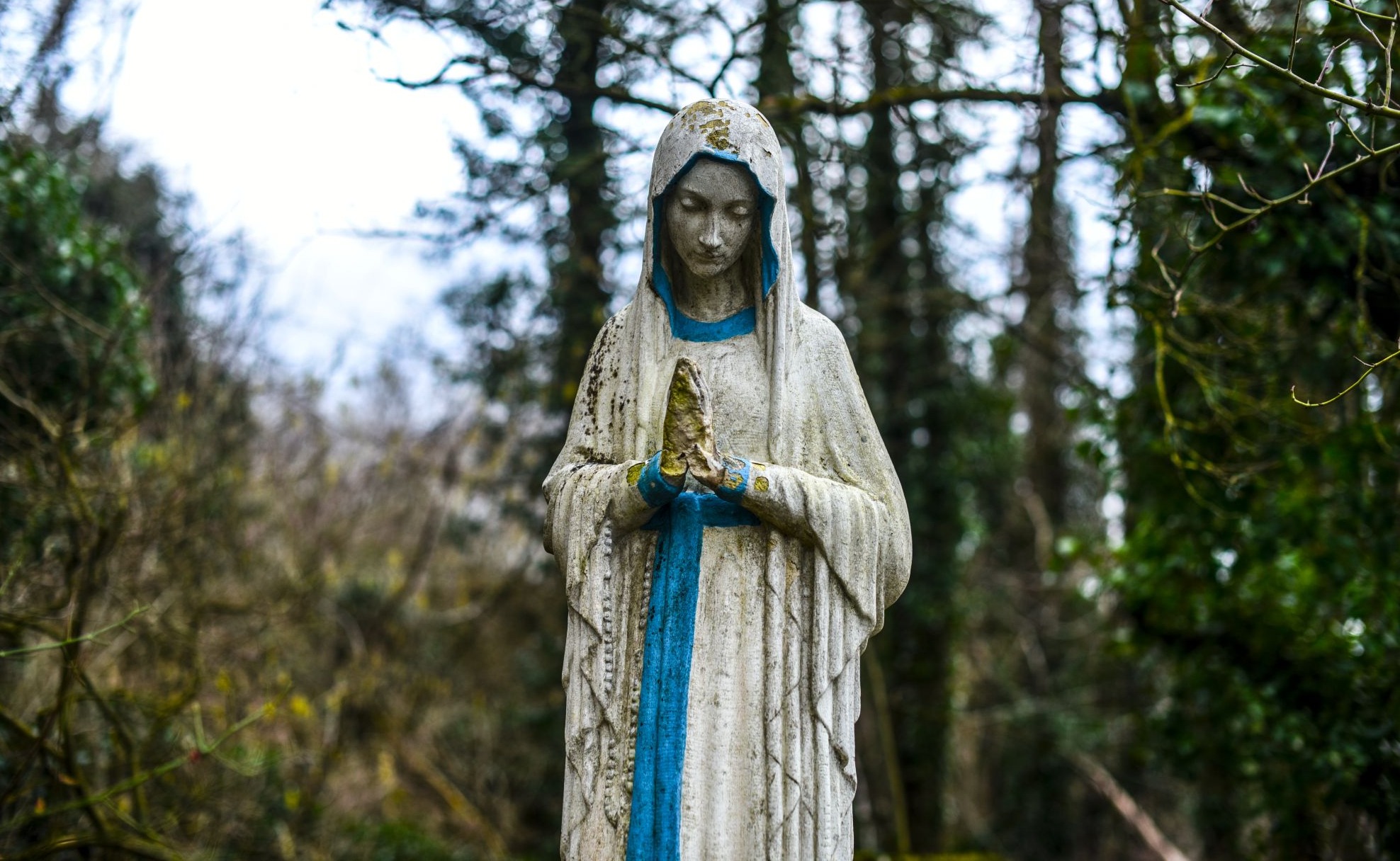 Balade à Gelbressée