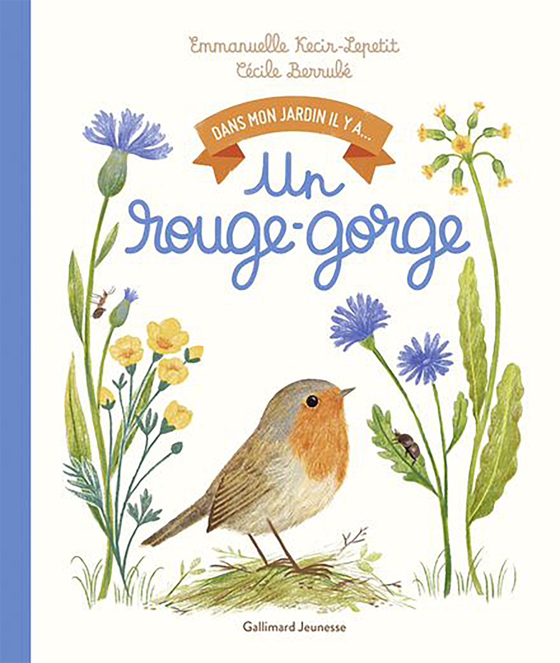 Livre jeunesse Un rouge-gorge 