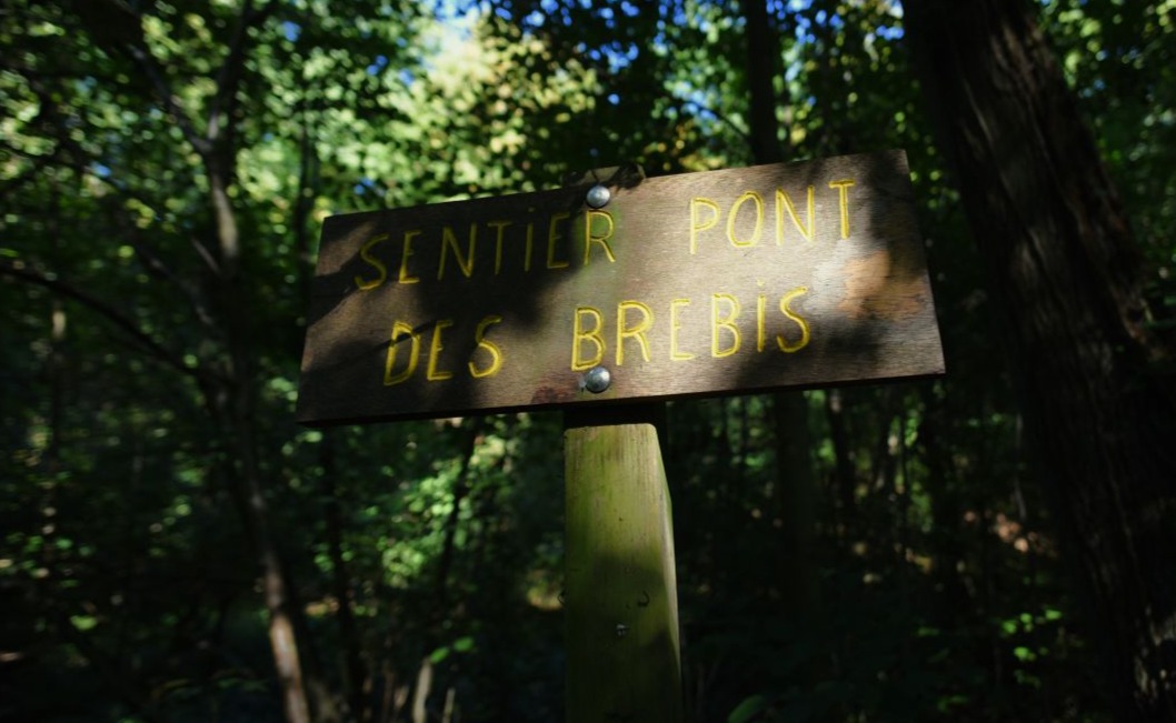 Promenade à Bonlez