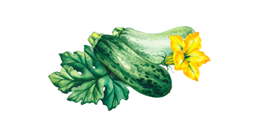 Légume pauvre en calories, la courgette est l’amie des régimes, mais peut aussi se faire aimer des enfants