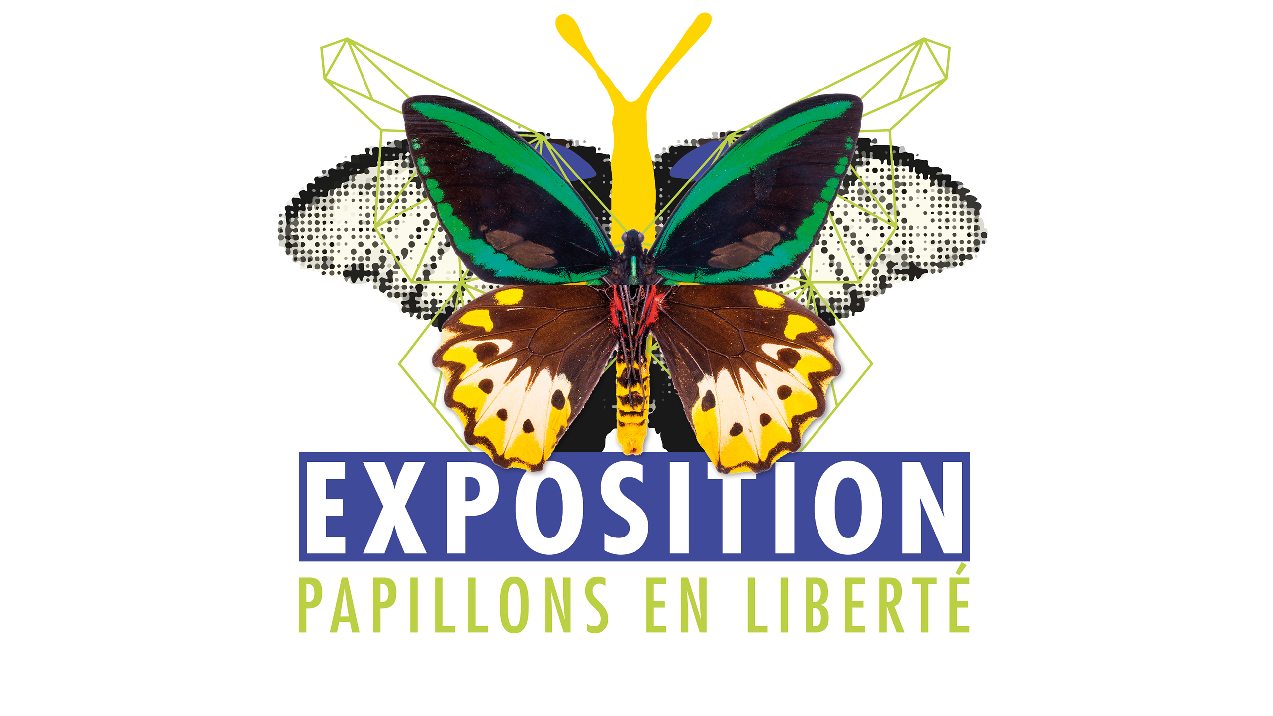 Exposition papillons