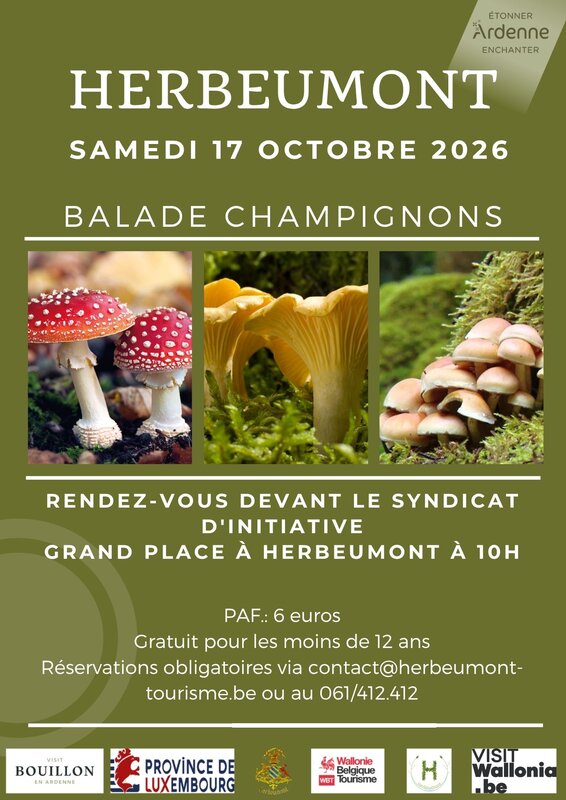 Balade aux champignons