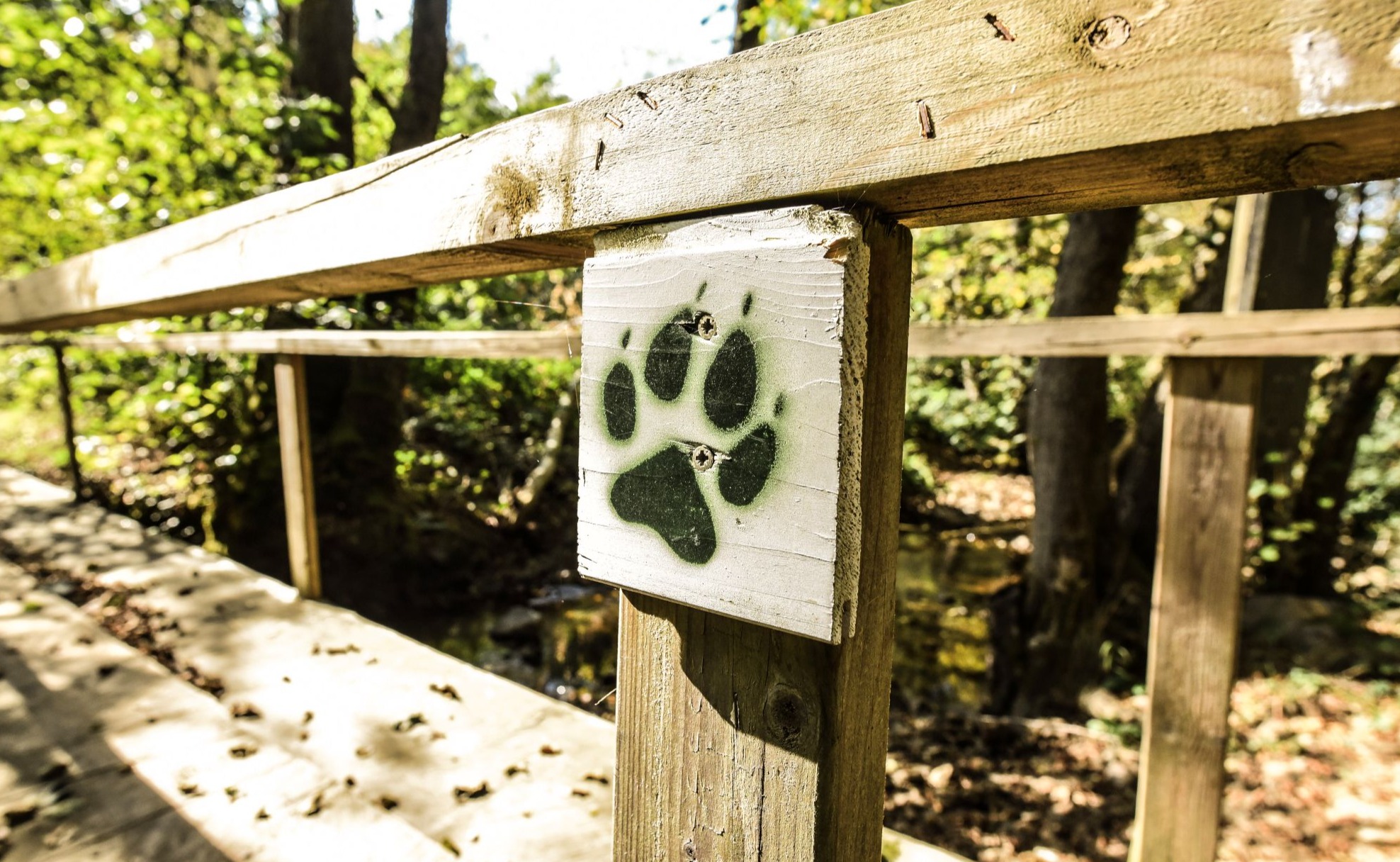 À pas de loup - sentier pédagogique